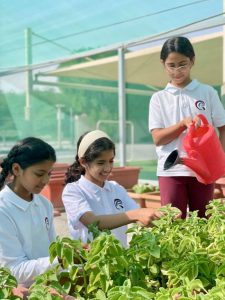 Deep Dive into Education for Sustainability (EfS) Standards